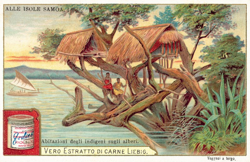 Samoalı ağaç ev (chromolitho) by European School