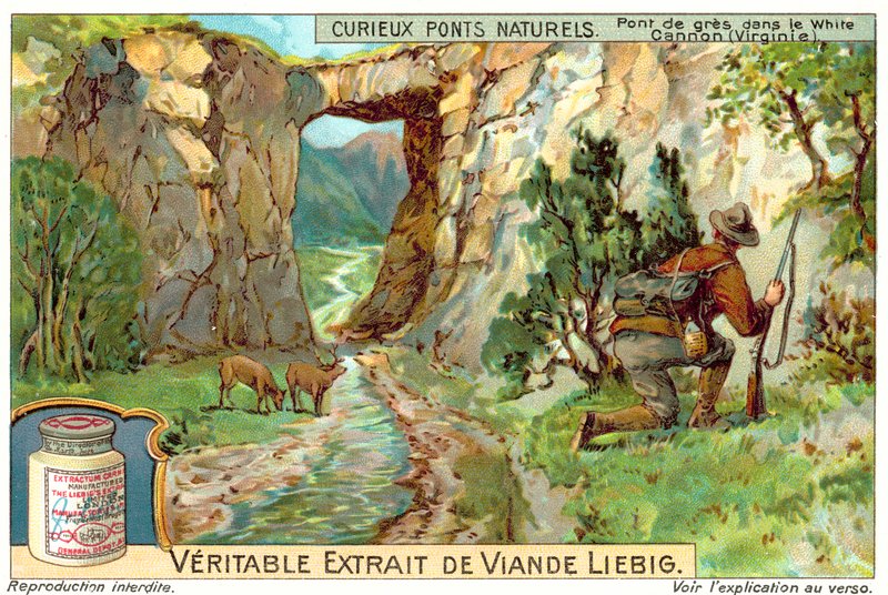 Beyaz Kanyon, Virginia