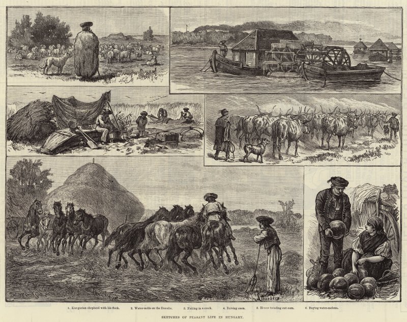 Macaristan'da Köylü Yaşamının Eskizleri (gravür) by European School