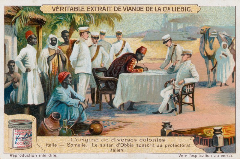 Somali by European School