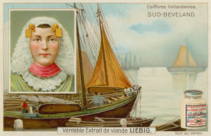 Güney Beveland by European School