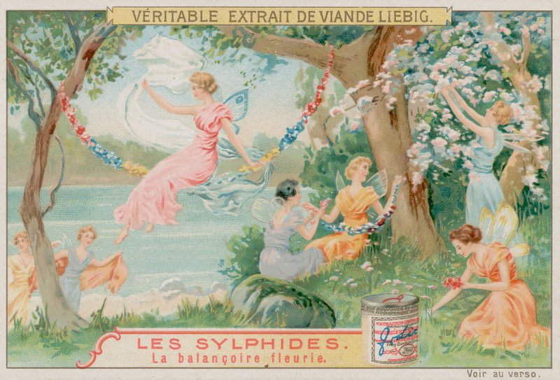 Sylphs ve Bir Çiçek Salıncak by European School