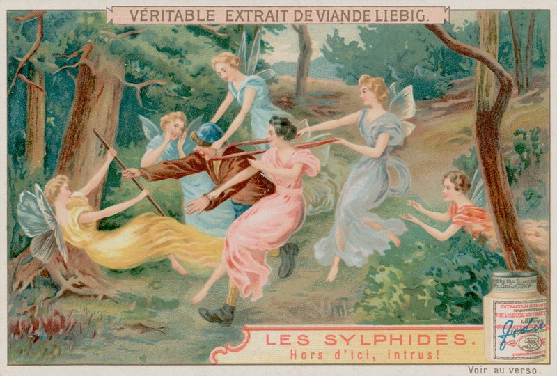 Sylphs ve Davetsiz Misafir by European School