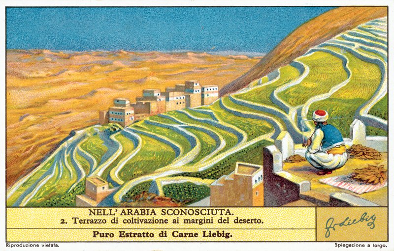 Çölün kenarında teras ekimi (chromolitho) by European School