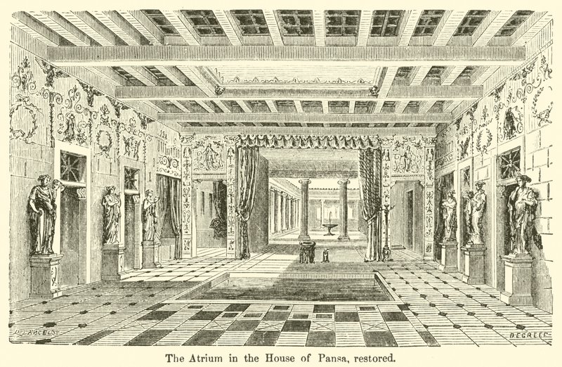 Pansa Evi