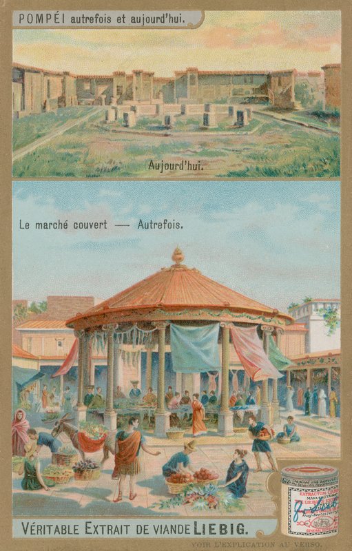 Kapalı Pazar by European School