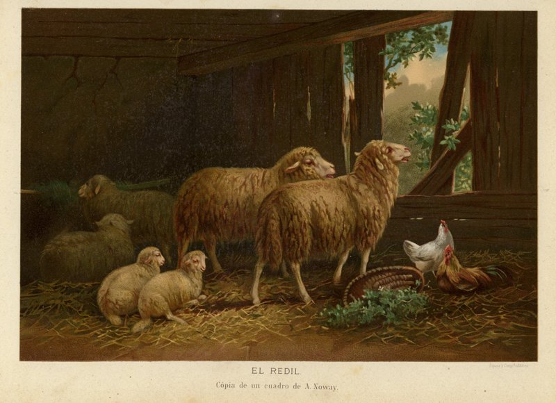 sürü by European School