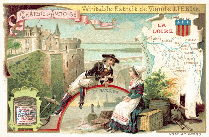 Loire ve Amboise Şatosu