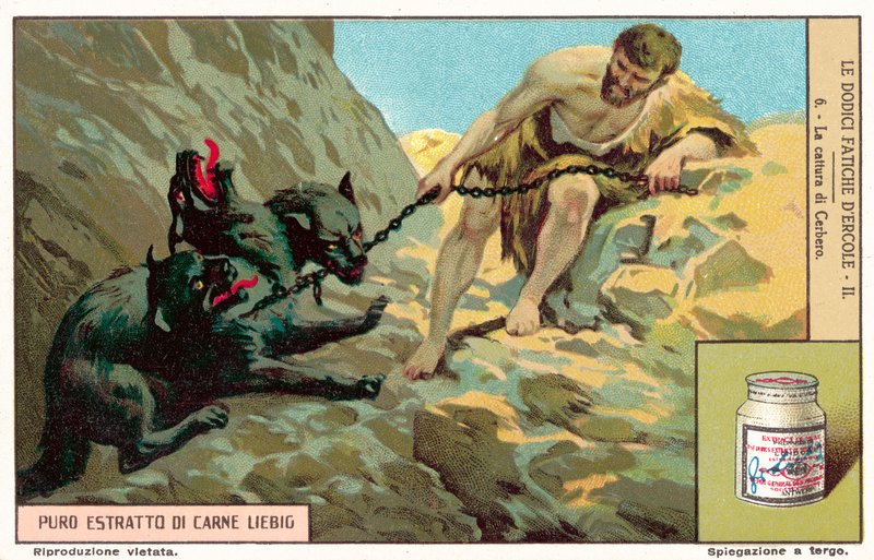 Cerberus