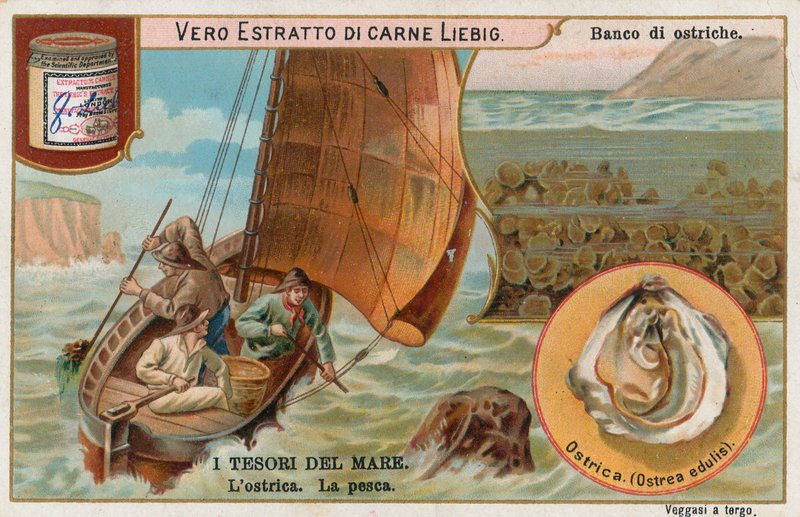 Denizin hazineleri, Liebig kartı, 20. yüzyıl başı (kromo) by European School
