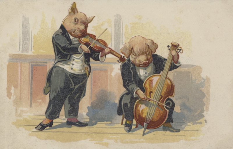 Müzik aleti çalan iki domuz (renkli lito) by European School