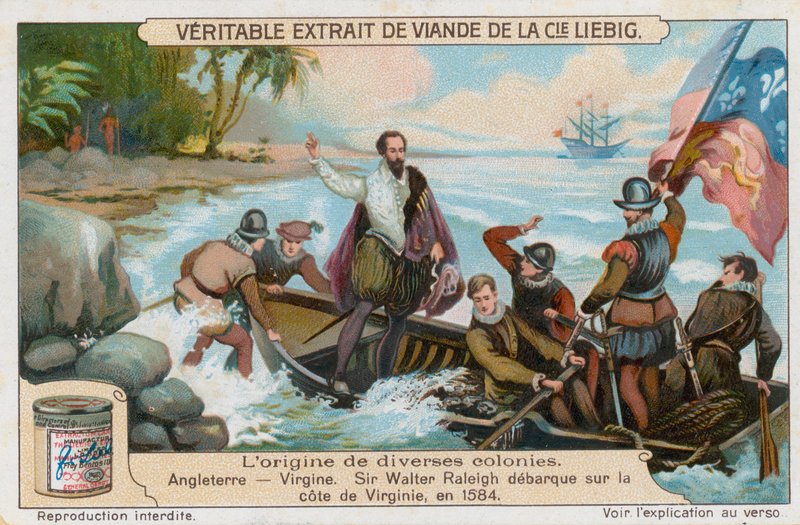Virginia by European School