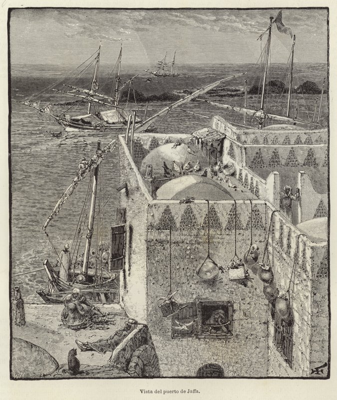 Jaffa limanının görünümü by European School