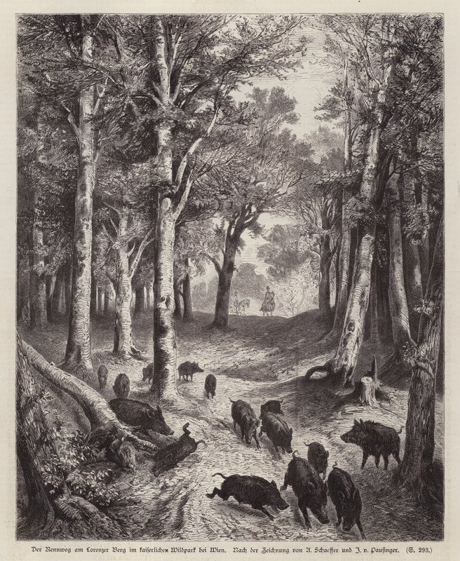 Viyana, Avusturya