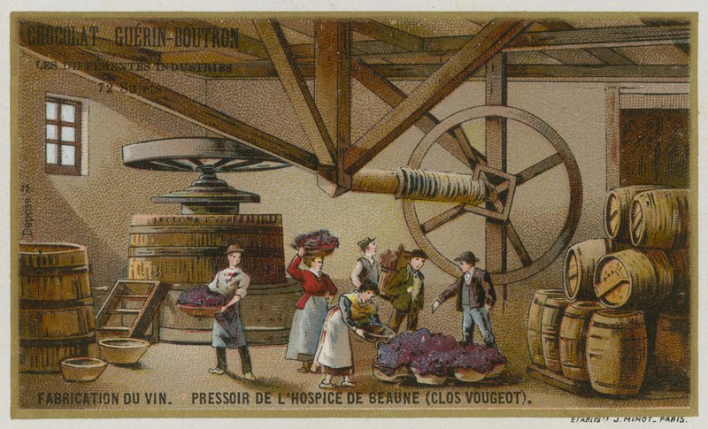 Şarap yapımı: Hospices de Beaune, Clos de Vougeot, Burgundy, Fransa