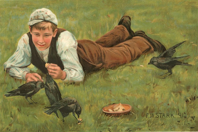 ev arkadaşları by F. M. Stark