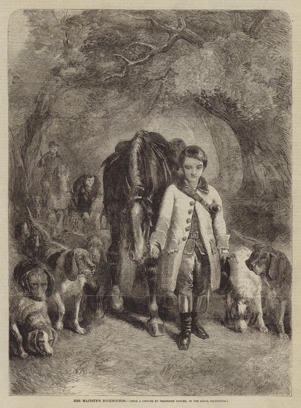 Majestelerinin Buckhounds by F. Tayler