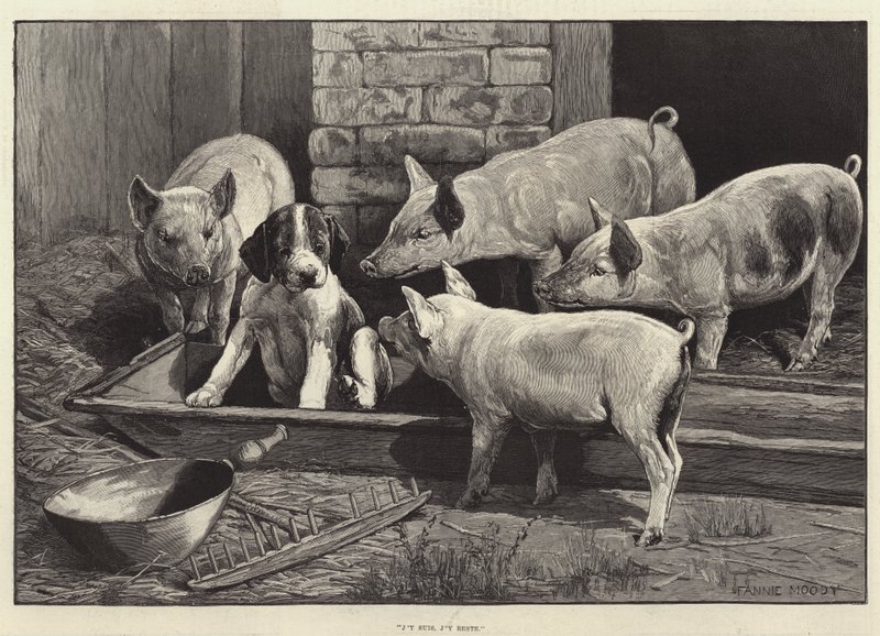 buradayım, burada kalıyorum by Fannie Moody