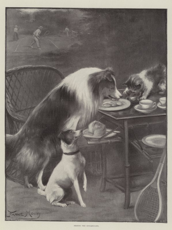 Fırsatı yakalamak by Fannie Moody