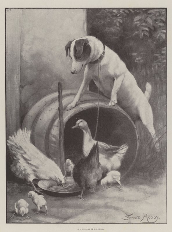 Diogenes