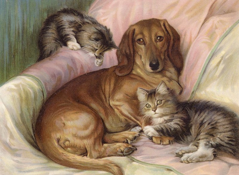 Oyun arkadaşları - bir kanepede oturan köpek ve iki kedi (renkli lito) by Fannie Moody