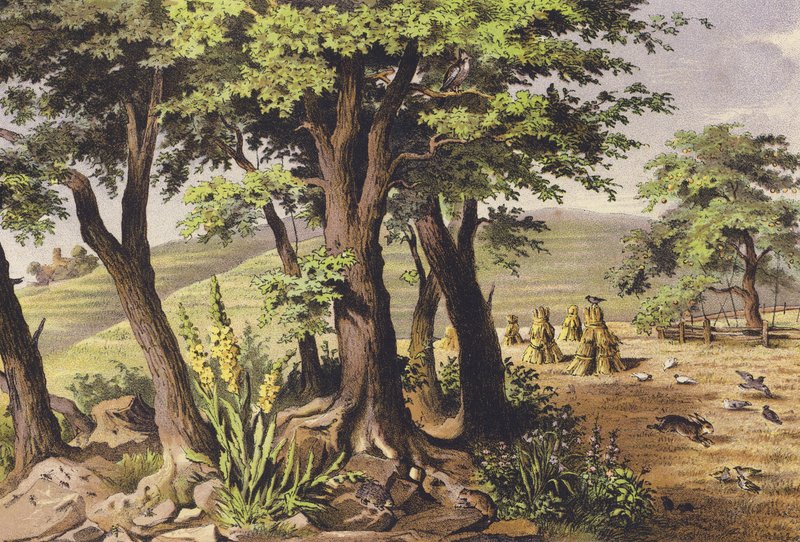  by Ferdinand Karl Klimsch