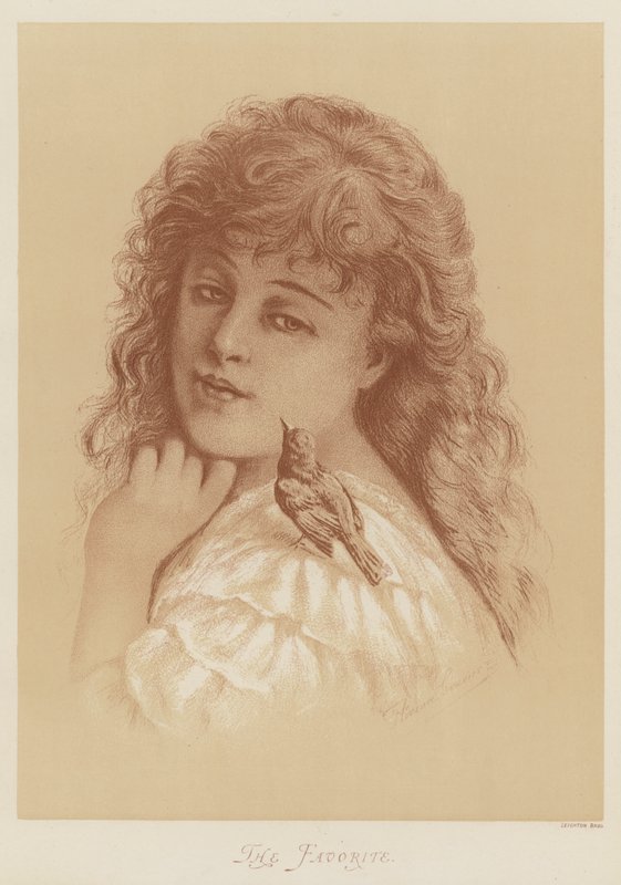 Favori by Florence Claxton