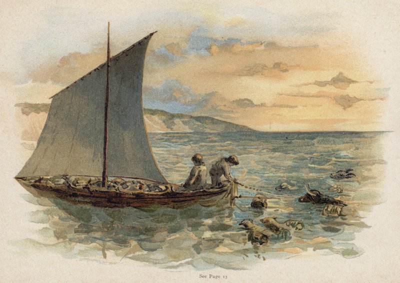 The Swiss Family Robinson