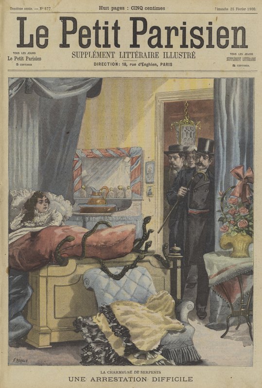 Bir yılan oynatıcısının zor tutuklanması by Fortune Louis Meaulle