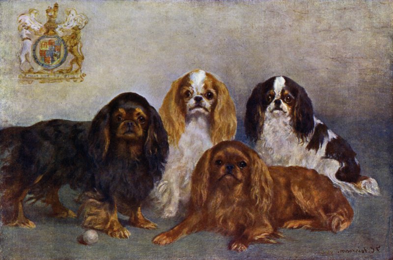 King Charles Spaniels  by Frances C. Fairman