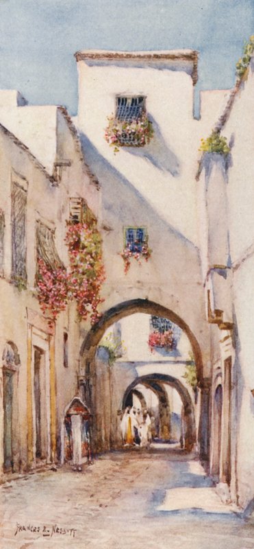 by Frances Nesbitt