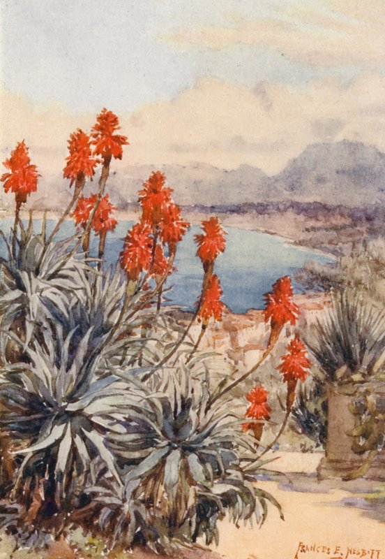  by Frances Nesbitt