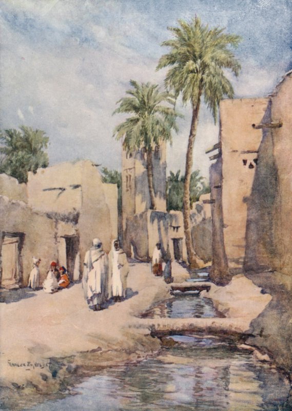 Biskra vahası, Cezayir by Frances Nesbitt