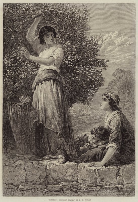 Dut Yaprakları Toplama by Francis William Topham