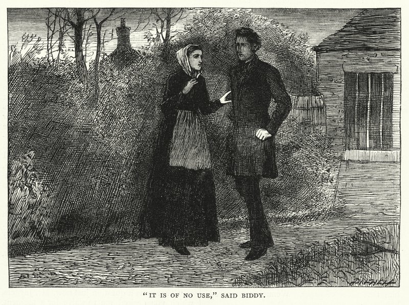 Charles Dickens tarafından Büyük Beklentiler için İllüstrasyon (gravür) by Francis Arthur Fraser