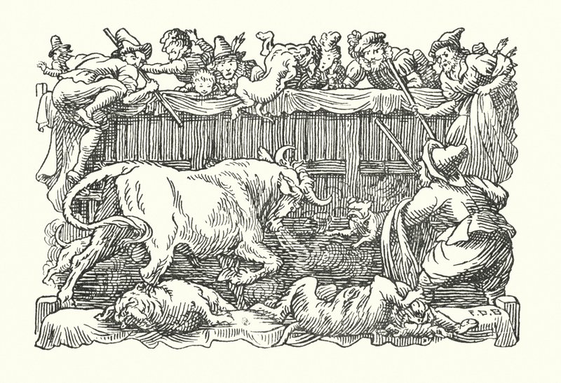  by Francis Donkin Bedford