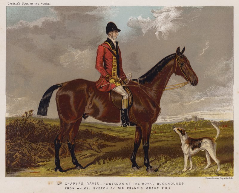 Bay Charles Davis, Royal Buckhounds Avcısı by Francis Grant