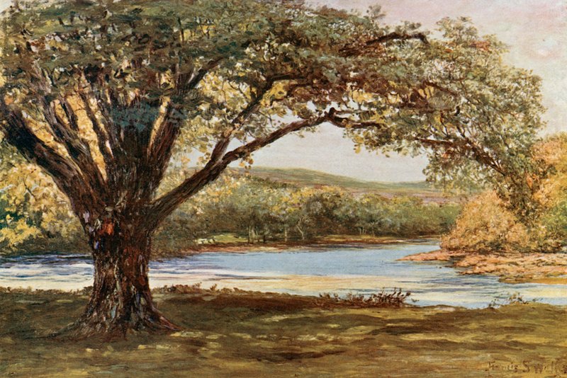 Avoka Vadisi by Francis S. Walker