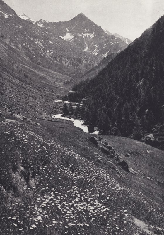 Doğu Alpleri: Windach Tal