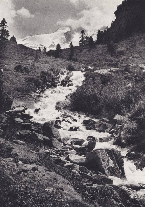 Doğu Alpleri: Wildgerlos Tal