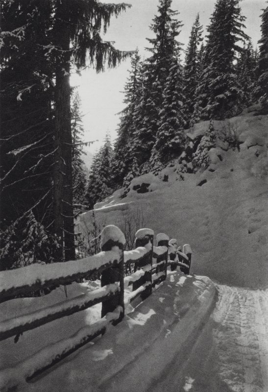 Alpler: Kış Sabahı, St Anton yakınında (s/b fotoğraf) by Francis Sydney Smythe