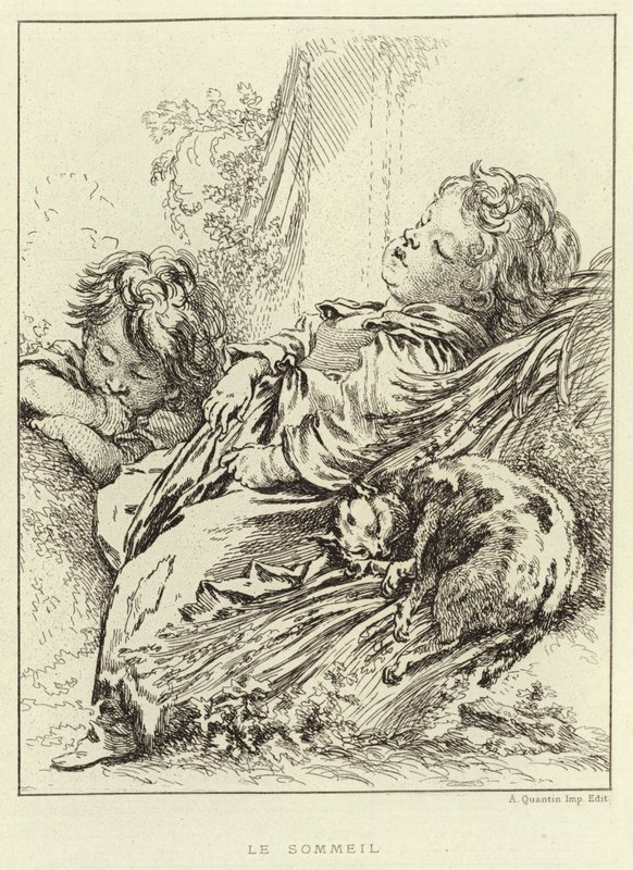 ಸ್ಲೀಪ್ (ಕೆತ್ತನೆ) ಟರ್ಕಿ by Francois (after) Boucher
