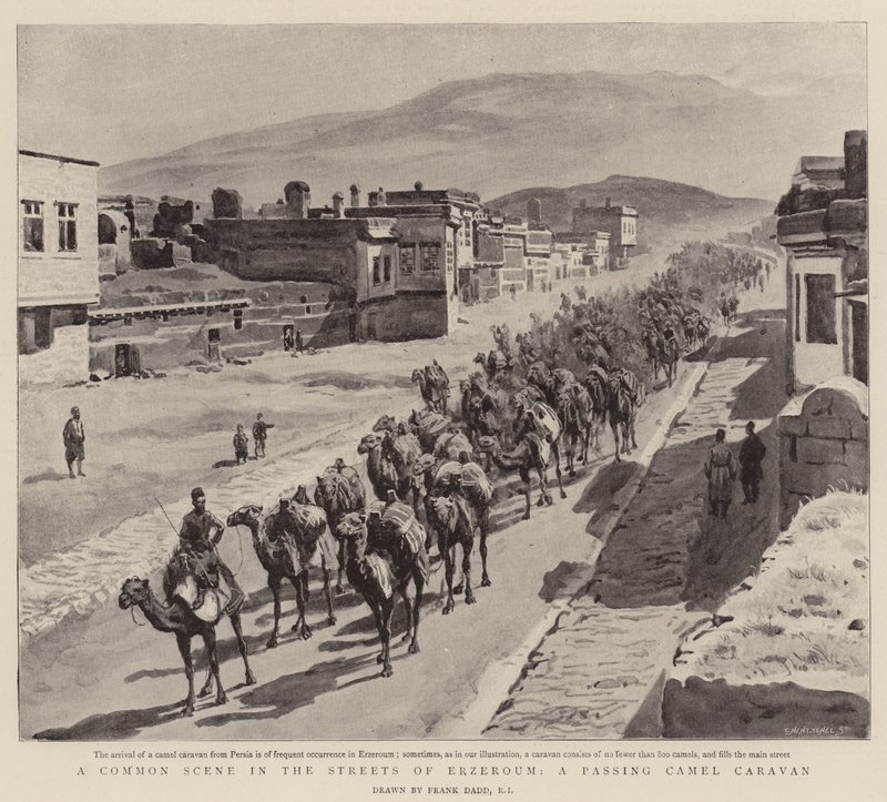 Erzurum Sokaklarında Ortak Bir Sahne, Geçen Bir Deve Kervanı by Frank Dadd