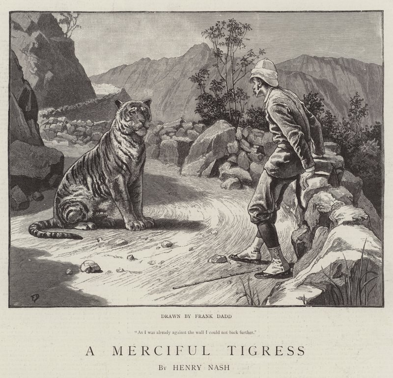 Merhametli Kaplan by Frank Dadd