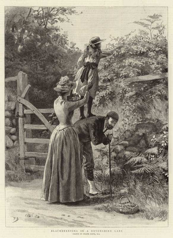 Devonshire Lane'de Böğürtlen by Frank Dadd