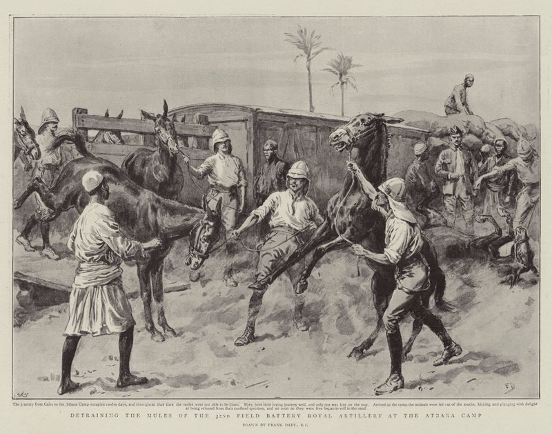 Atbara Kampında 32. Sahra Bataryası Kraliyet Topçu Katırlarının Eğitilmesi by Frank Dadd