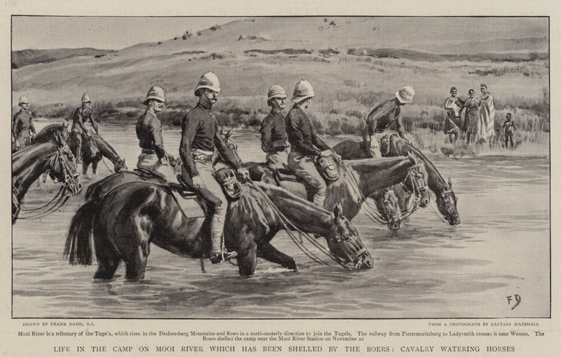 Boers tarafından bombalanan Mooi Nehri üzerindeki Kampta Yaşam, Süvari Sulama Atları by Frank Dadd