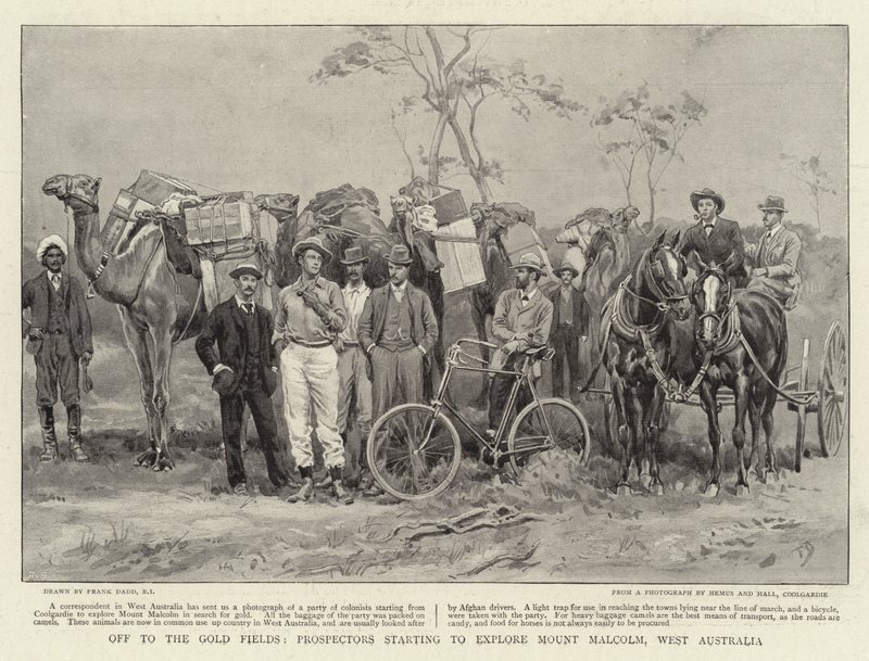 Altın Tarlalarında, maden arayıcıları Batı Avustralya'daki Malcolm Dağı'nı keşfetmeye başlıyor by Frank Dadd
