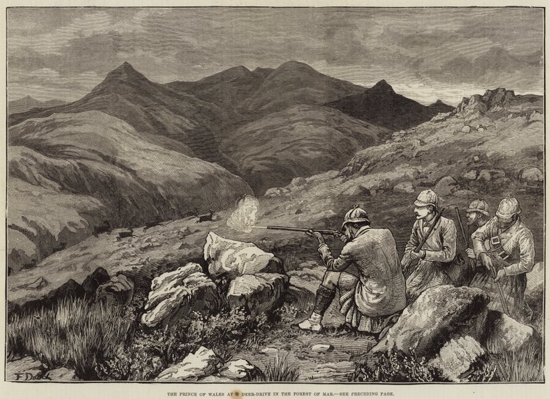 Galler Prensi, Mar Ormanı