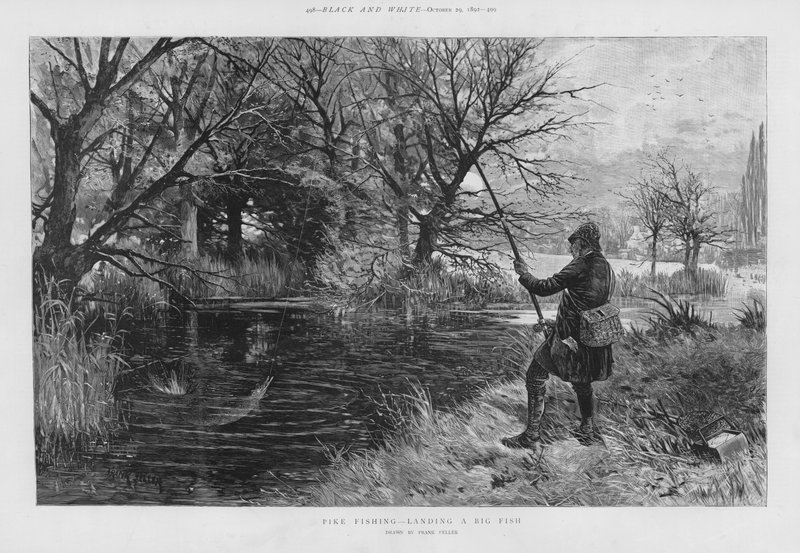 Büyük bir balık (lito) çıkarma turna balıkçı by Frank (after) Feller